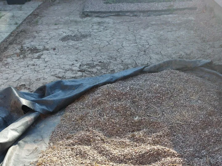 Items free to a good home! – Pea Shingle n/r