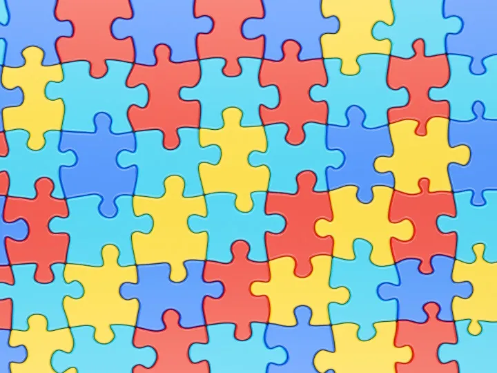 Pieces of a Jigsaw Fited Together