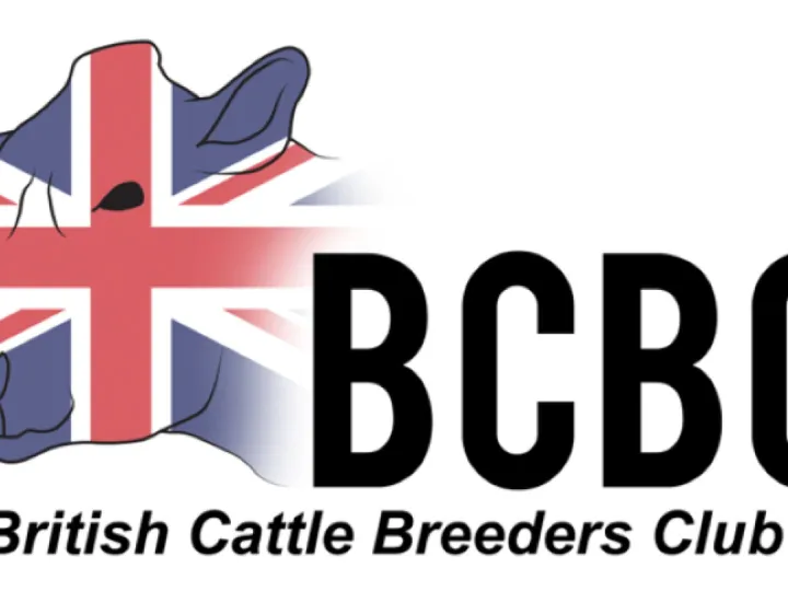 The new BCBC logo competition winner &ndash; Annie Stones