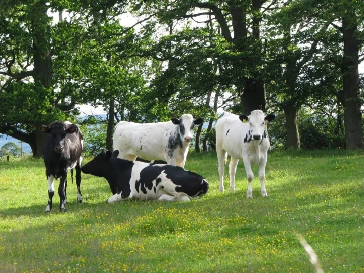 Sponsors Feature – Trinity Agtech