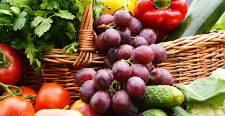 Harvesting-Basket-2x