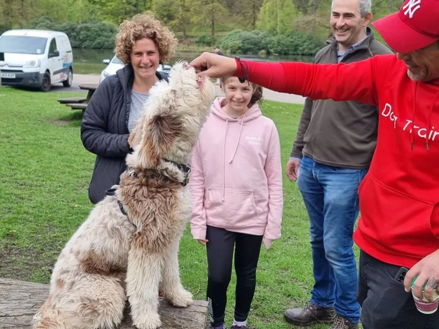 One-to-one dog training in the Cheshire countryside