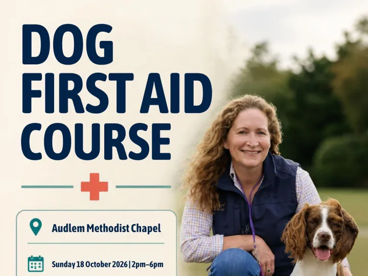 Dog First Aid