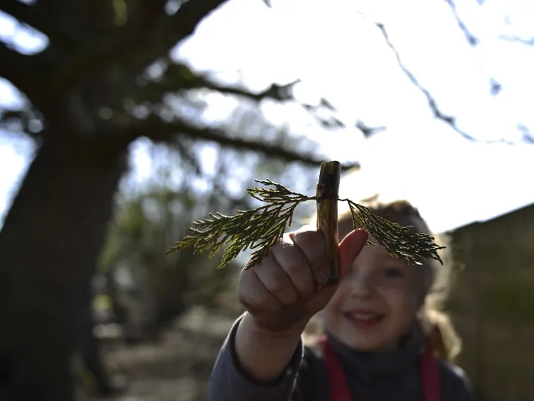 A smiling child holding up a stick with two fern sprigs beneath a large tree