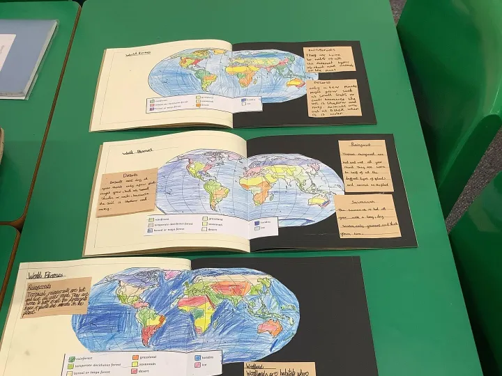 Img 4365