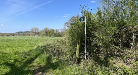 Green footpath waymarker on a metal post beside a hedgerow, with open grass fields and trees under a blue sky
