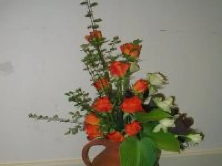 Gardening Show 15d