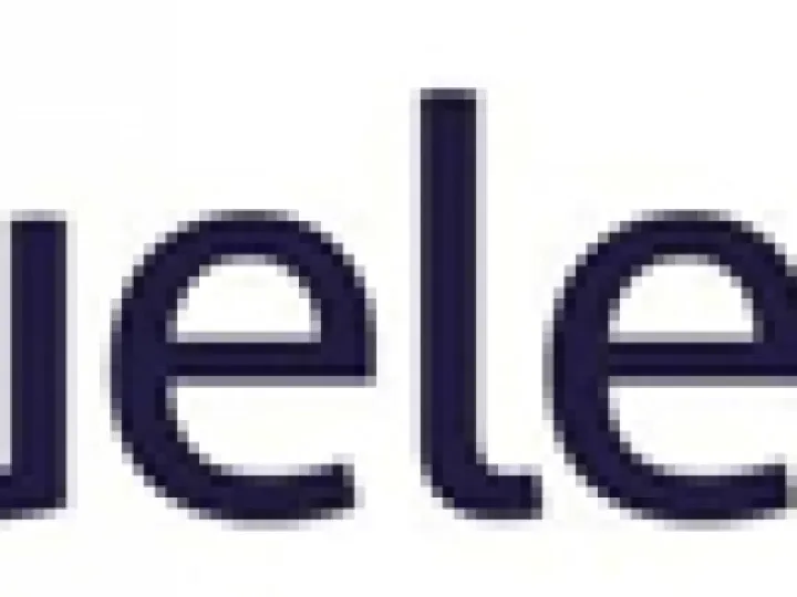 Blueleaf2