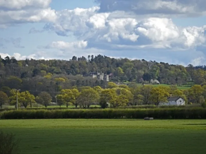 Bolesworth WEB (1)