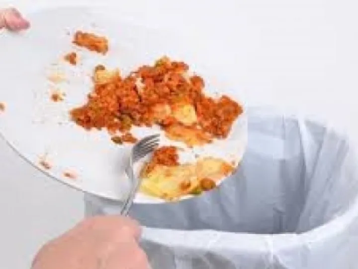 Food waste png