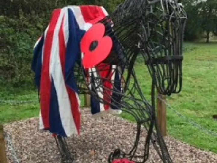 Th Horse_2902