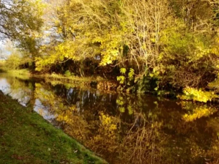 Between Bridges 11 – 12