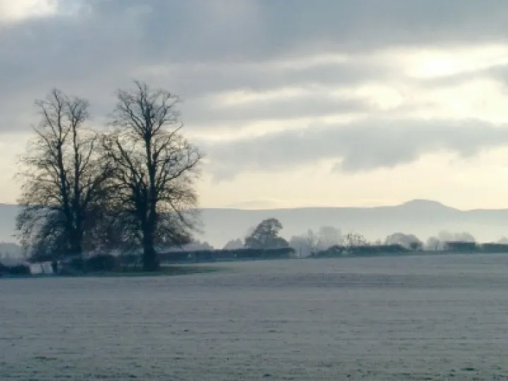 DJW Frost Nov 2005