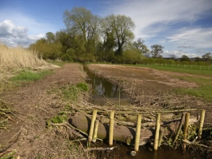 Millbrook Wetlands (3) April 2016 Web copy