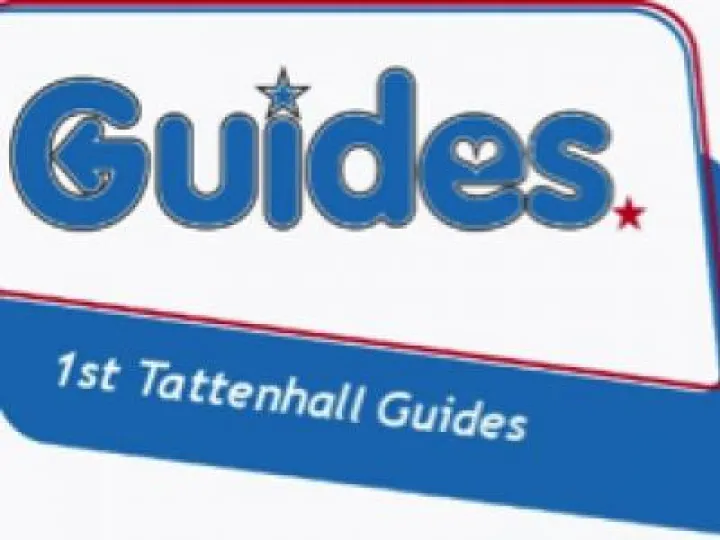 Girl guides