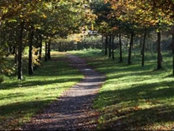 Tarvin Community Woodland