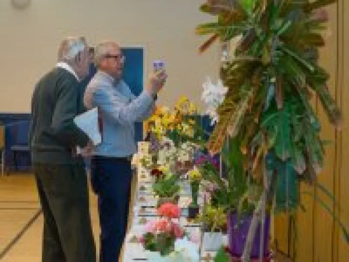 Judging Underway 2