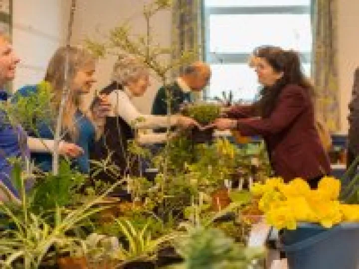 A Plant Stall Also