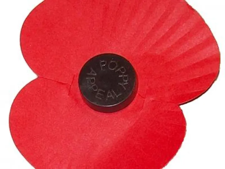 A Poppy