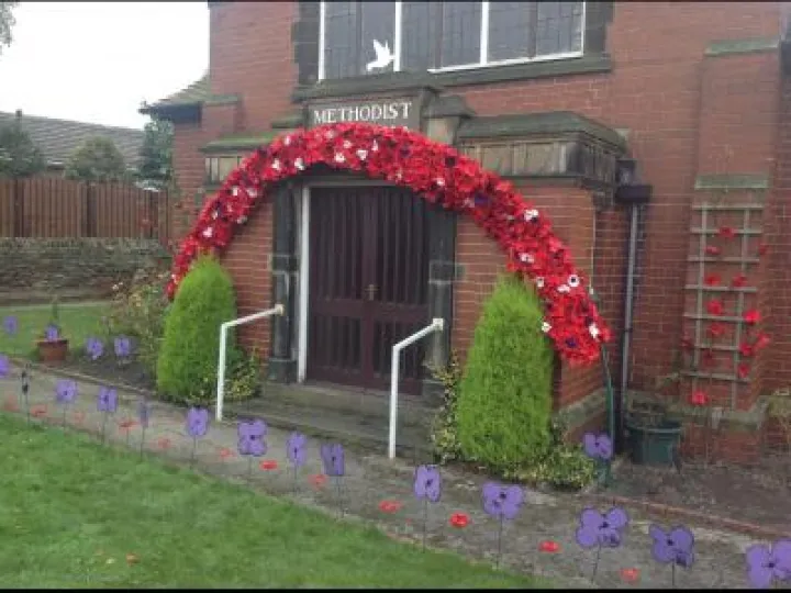Silkstone Common Poppies (1)