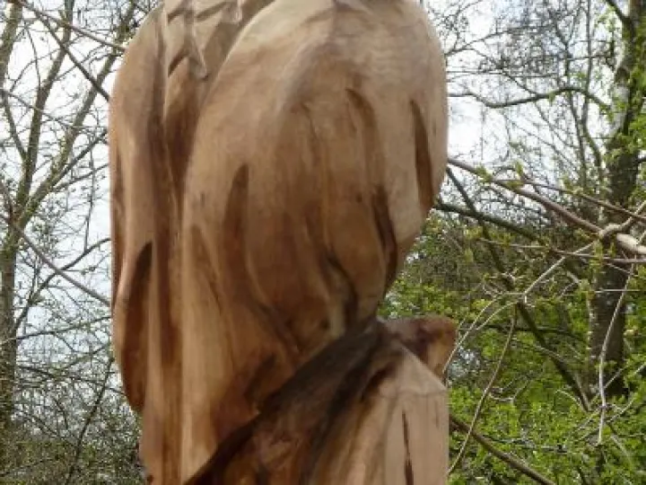 NewBuzzard_3