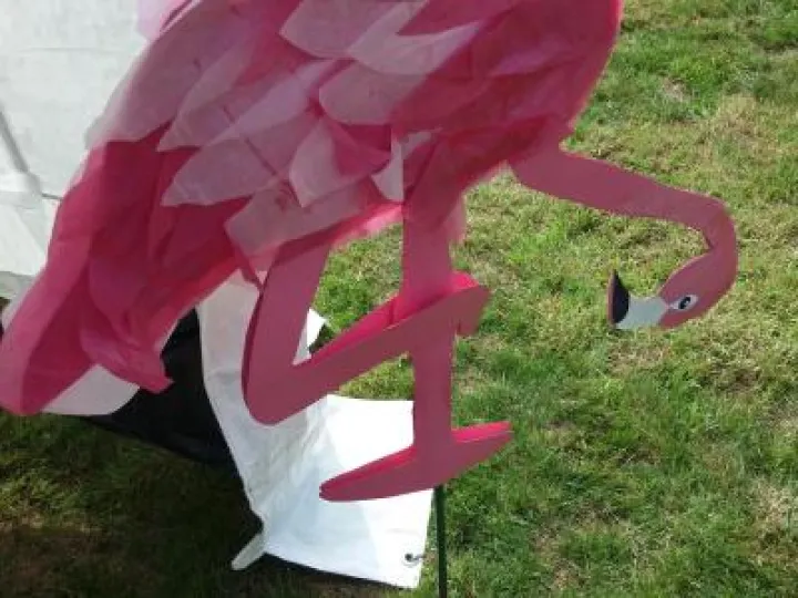 Flamingo Jean Jones