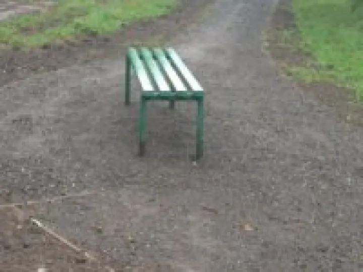 Community Woodland