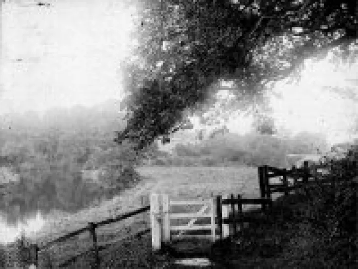 Minshull Wood stile