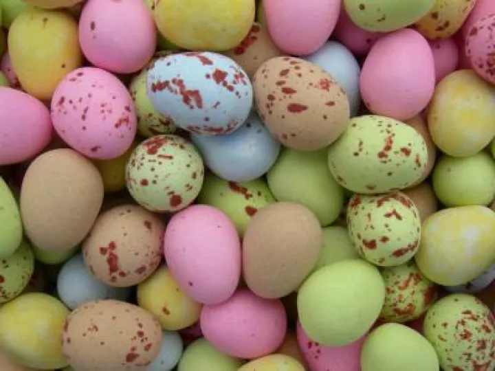 Image: 1290610208_offer_minieggsloose