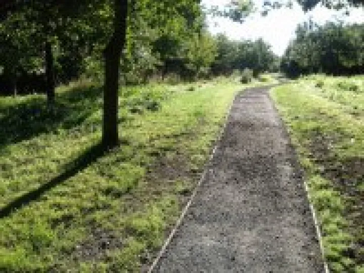 Woodland Walk