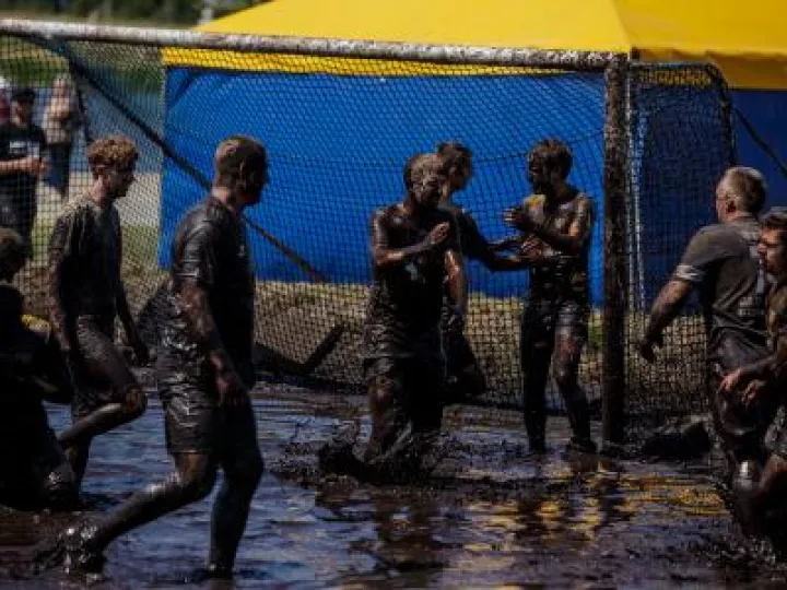 swampdogs 2