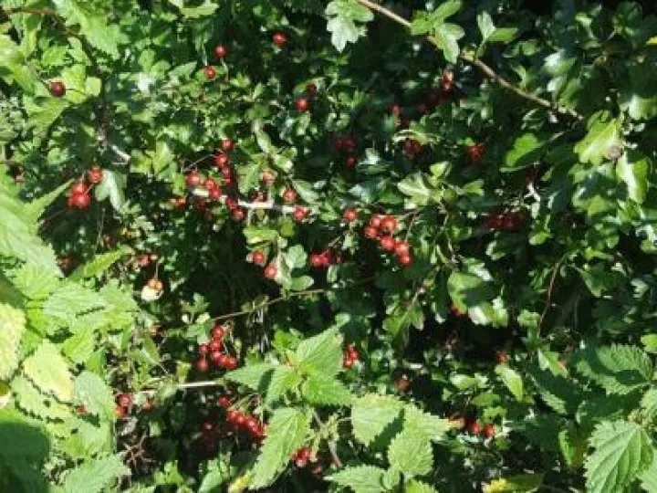 Image: 20190919 135958