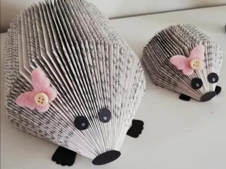 Hedgehogs