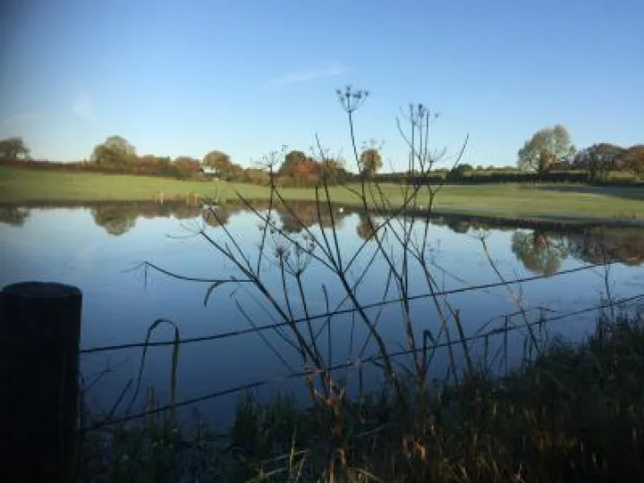 Flood (2)