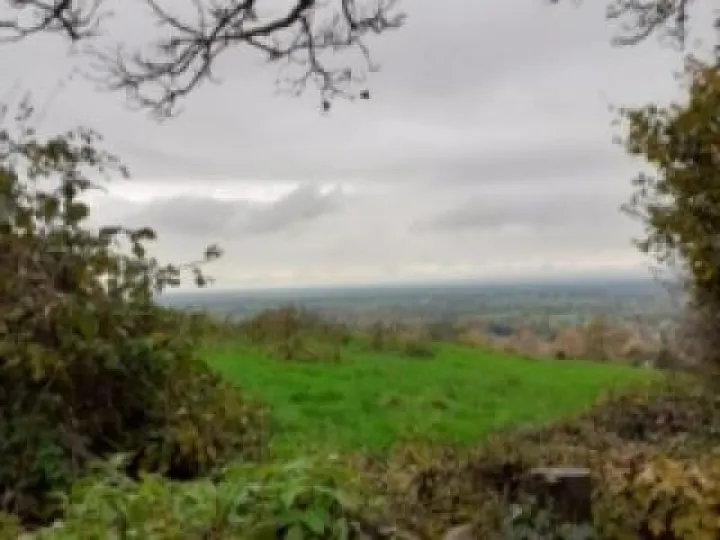 U3A Walk Nov 14 jpg