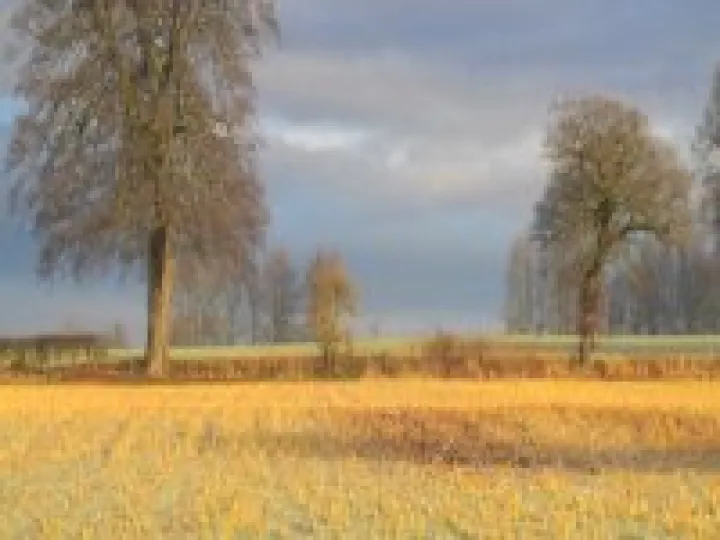 Autumn 1