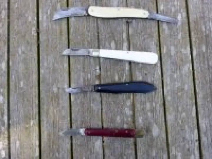 Budding knife (click on image to enlarge)