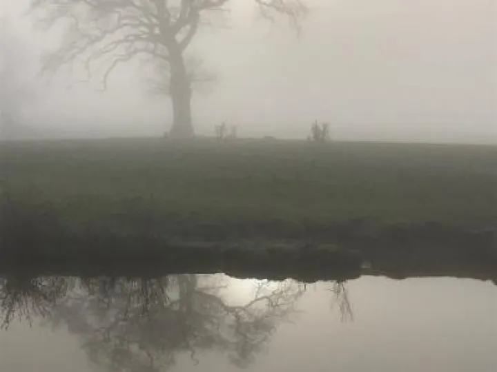 fog at hack green