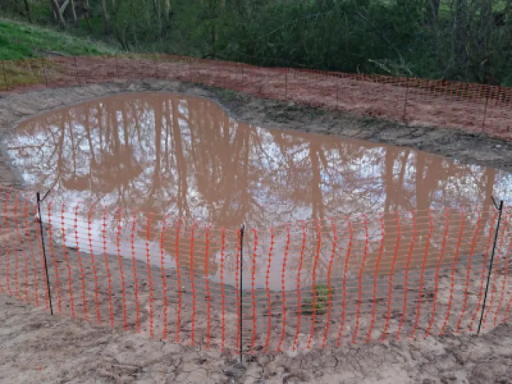 TP fencing 1