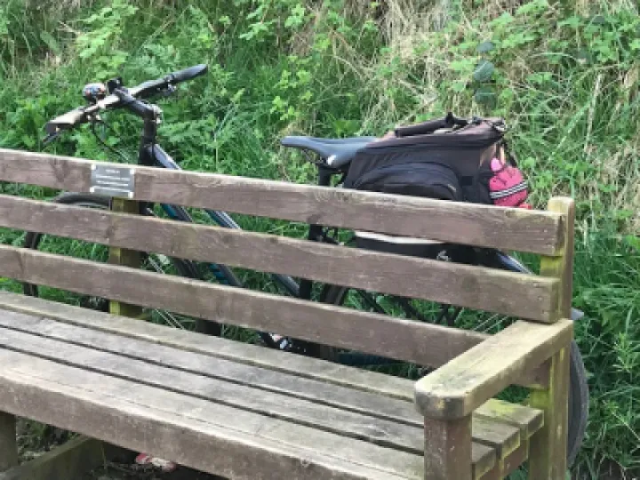 cycle