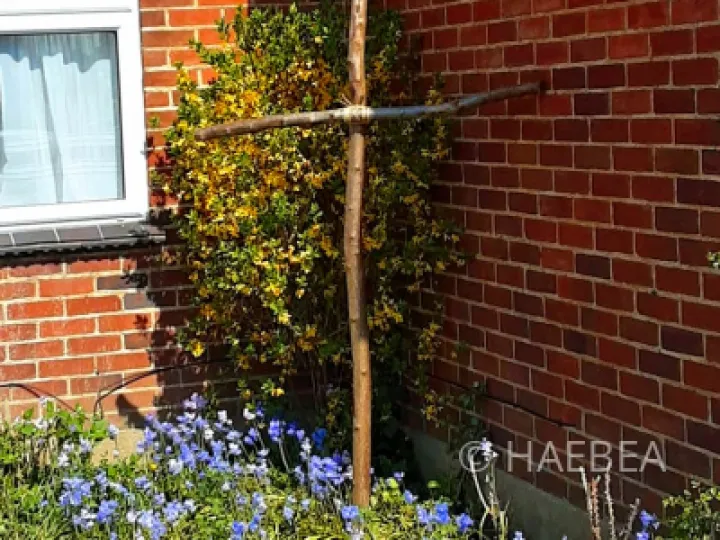 Debbie &ndash; Good Friday Cross &ndash; Labelled