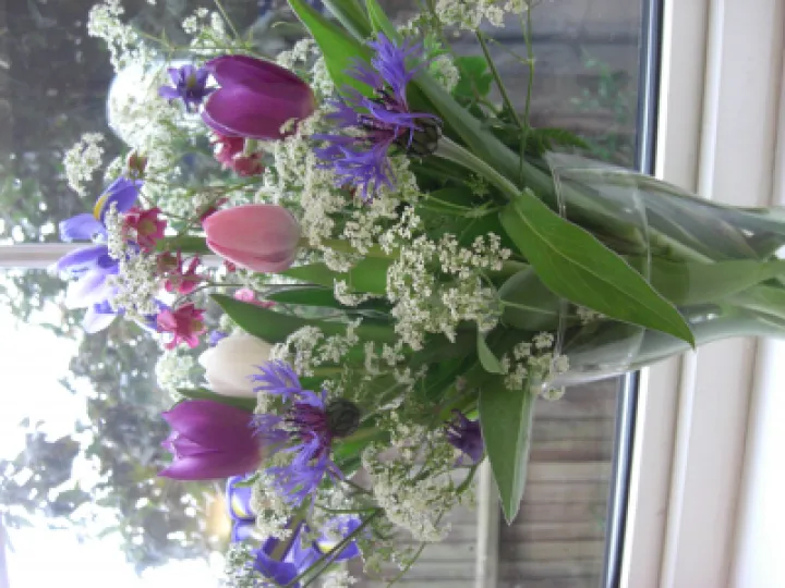 Flowers 2