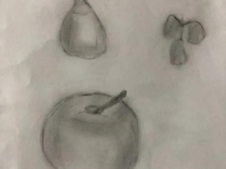 ER3