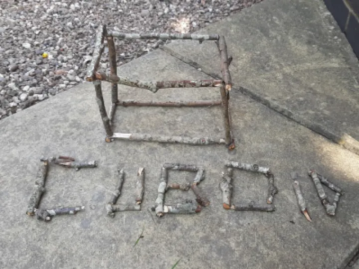 T1