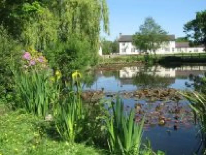 Hankelow Green