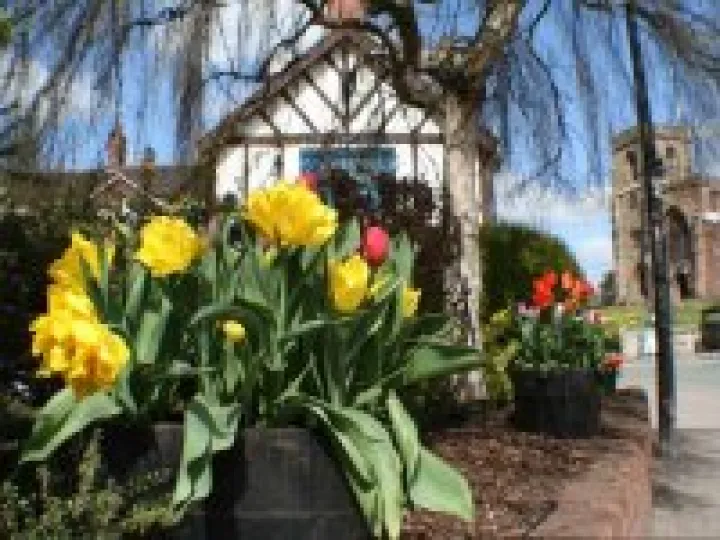 Audlem in Bloom