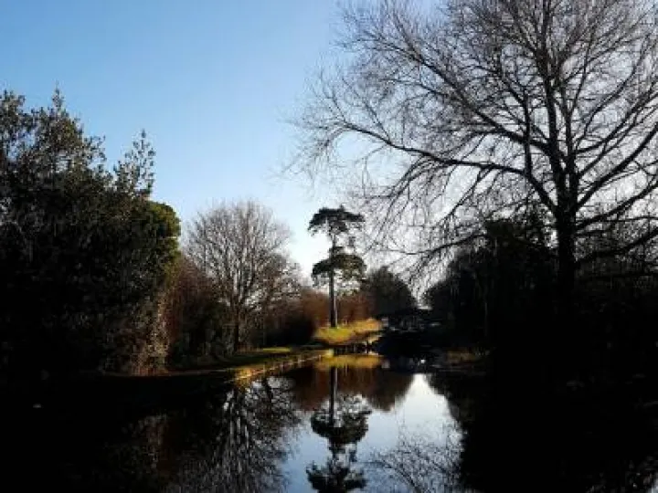 Winter Canal Scenes