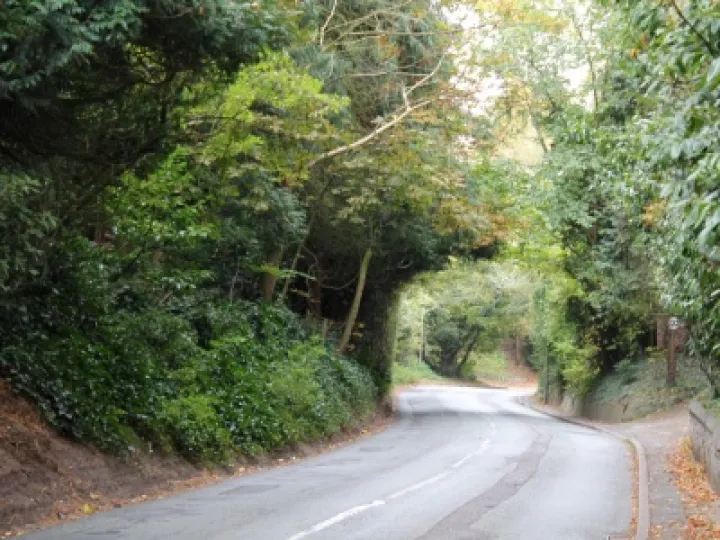 Autumn Audlem