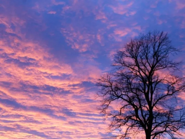 Evening sky