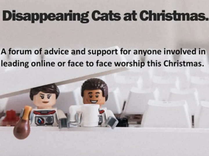 Disappearing Cats